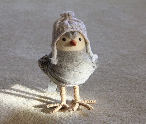 A stuffed bird with a hat on it's head.