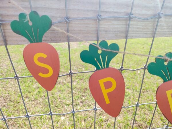 Spring Wooden Carrot Banner - Spring Decor - Easter Garland - Rustic Farmhouse - Image 3